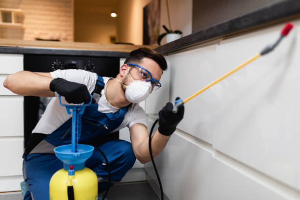 Best Cockroach Control Services  in North Pekin, IL