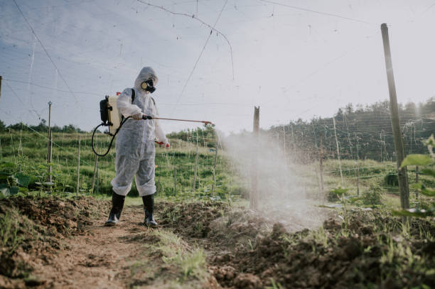 Best Local Pest Control Services  in North Pekin, IL